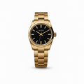 Watch Bracelet Gold Olevs Pro
